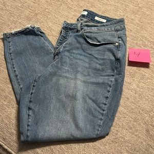 Judy Blue button fly, skinny fit jeans. Size 18W
